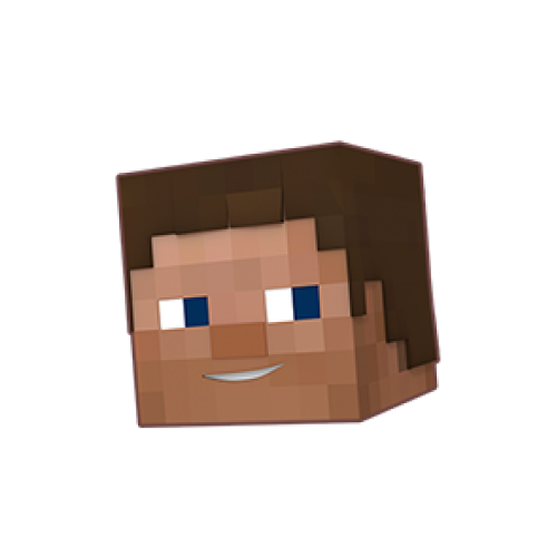 steve plan icon